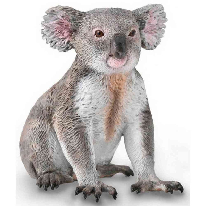 COLLECTA KOALA 